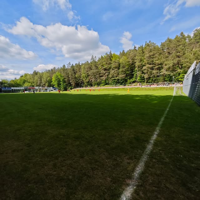 Rasenplatz des Waldstadions mit Waldkulisse